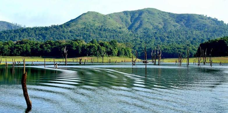 Ashvis Cottage Thekkady Ngoại thất bức ảnh